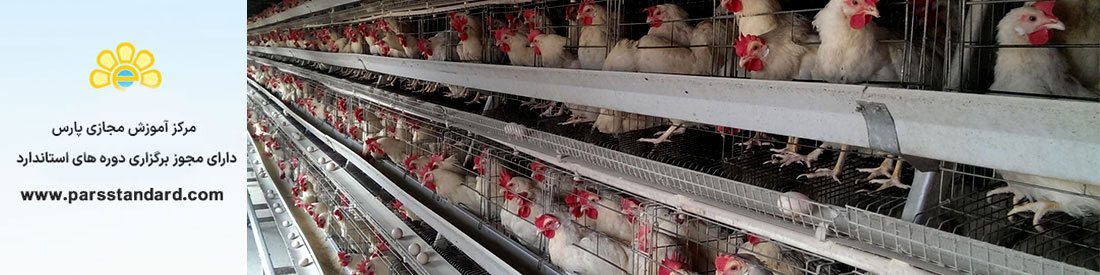 آیین کار بهداشتی و فنی مرغداریهای صنعتی 3484