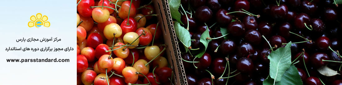 آیین کار نگهداری و ترابری گیلاس و آلبالو در سردخانه 4973