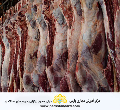 اصول و شرایط مهر کردن لاشه‌های گوسفند یا بز و گاو یا گاومیش 4612