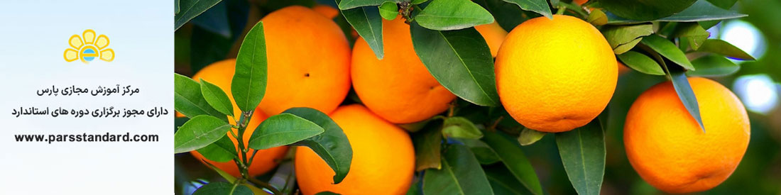 عملیات خوب کشاورزی ایران – مرکبات – 16548